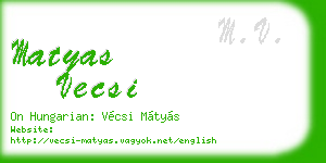 matyas vecsi business card